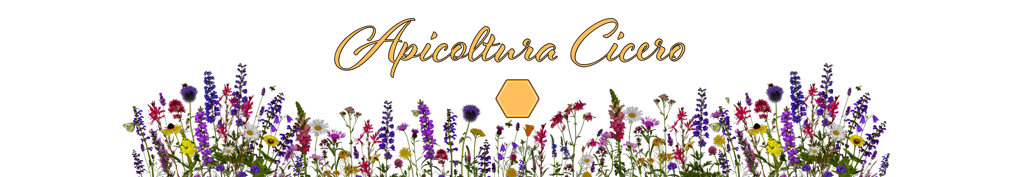 Apicoltura Cicero — alveari e miele