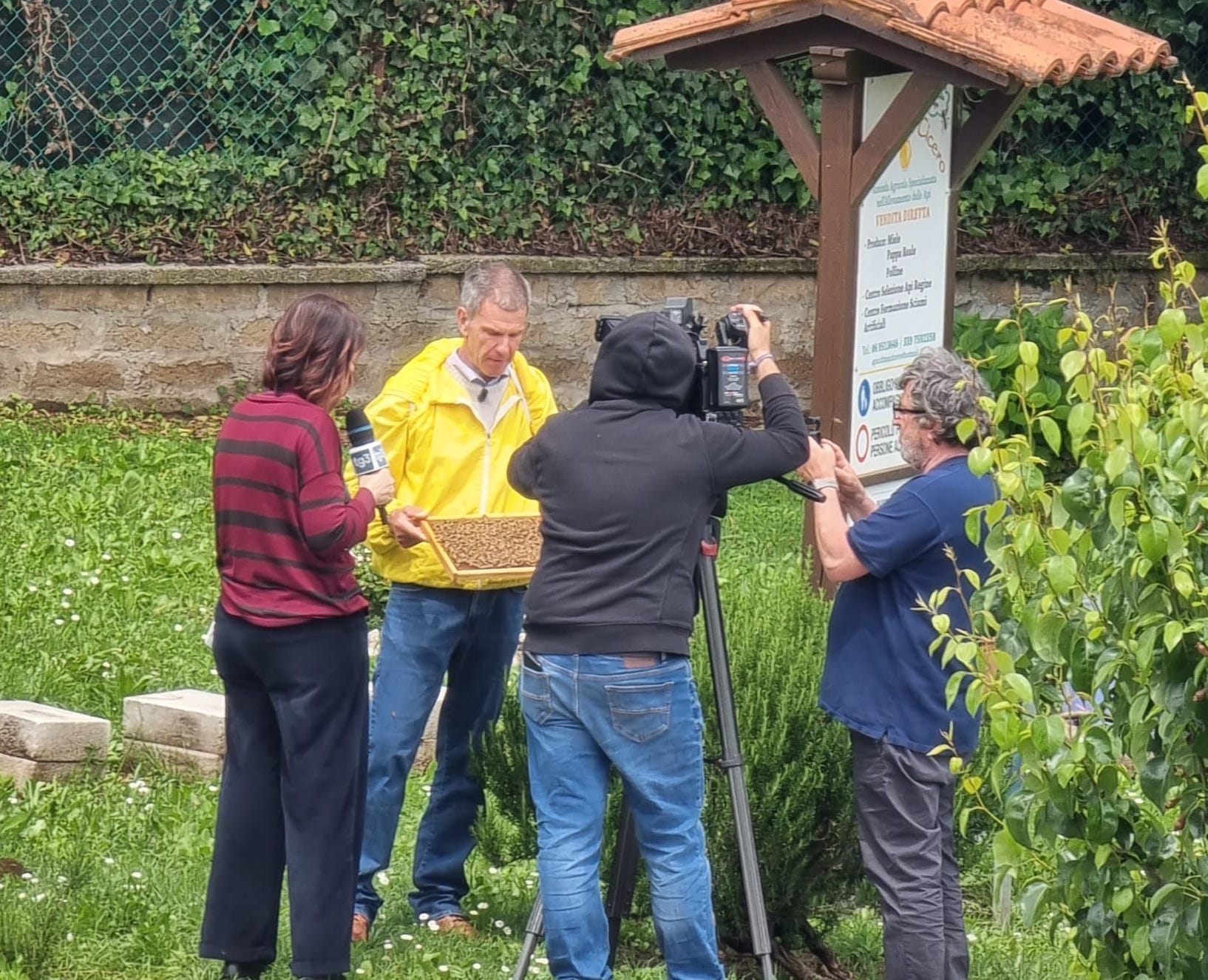 Docenza: lezione introduttiva sul mondo delle api