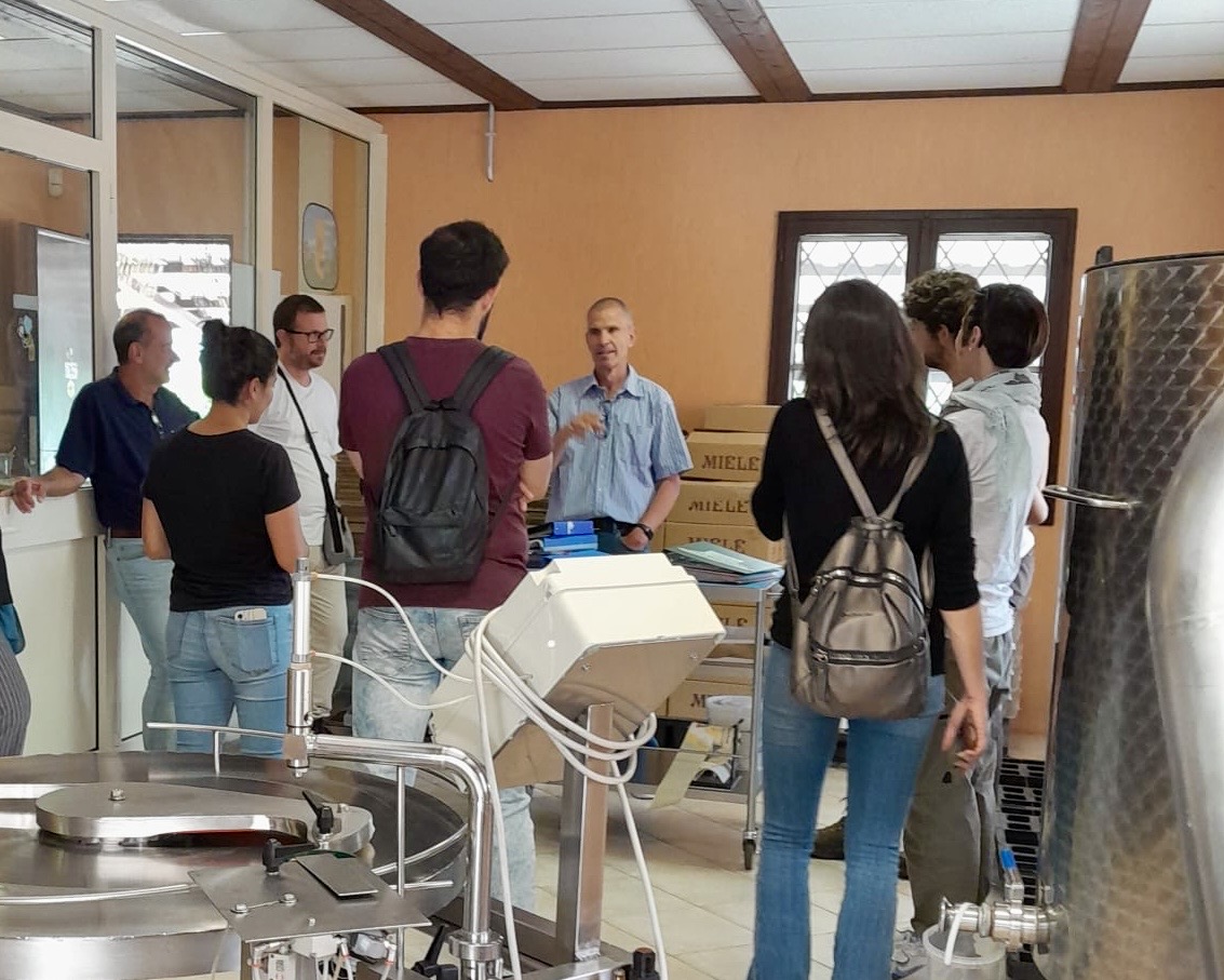 Lezione di apicoltura