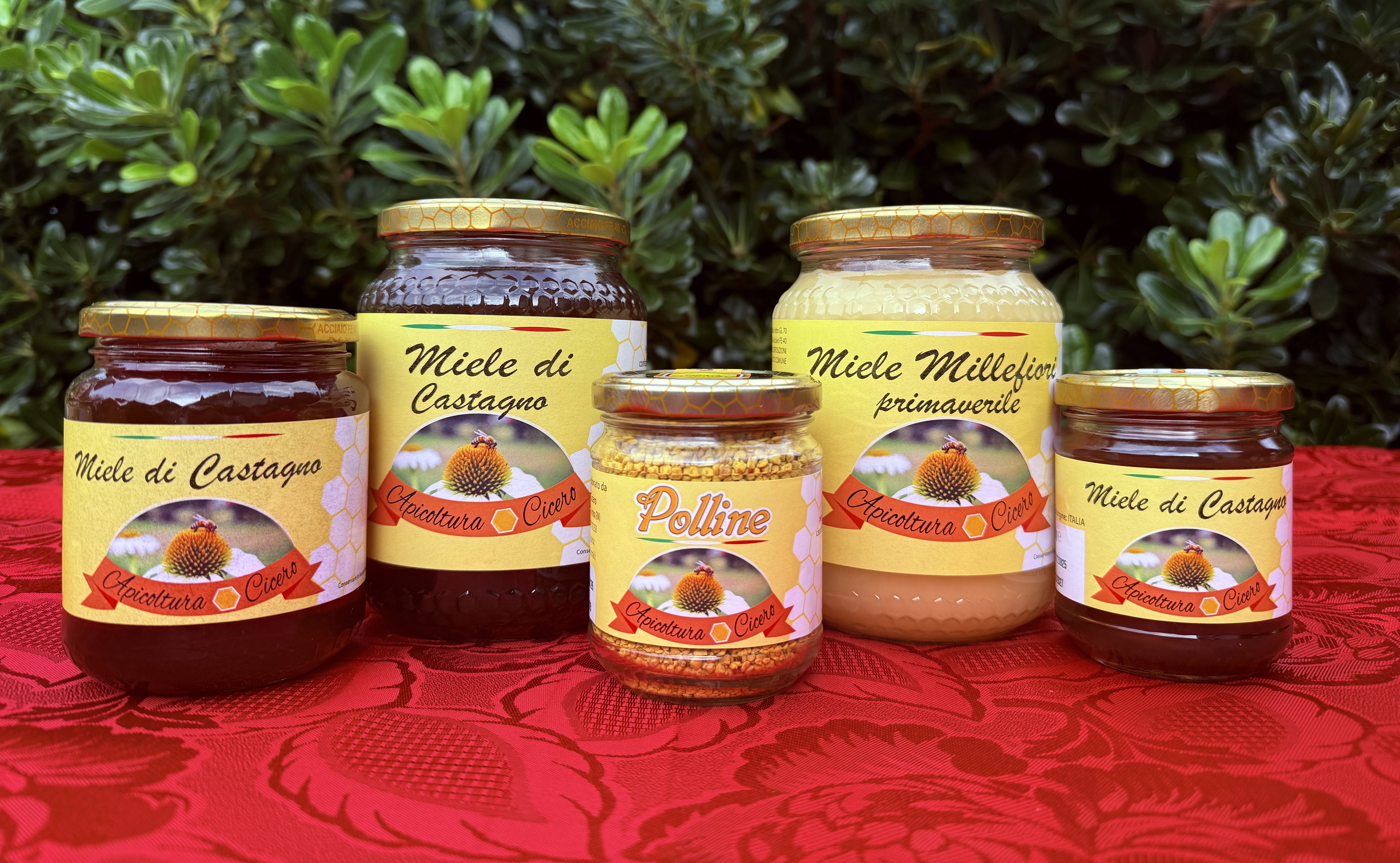 Dettaglio miele e favi